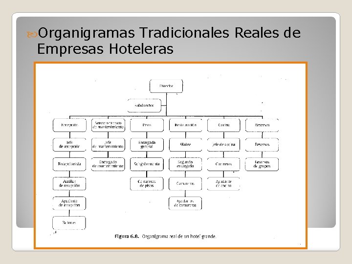  Organigramas Tradicionales Reales de Empresas Hoteleras 