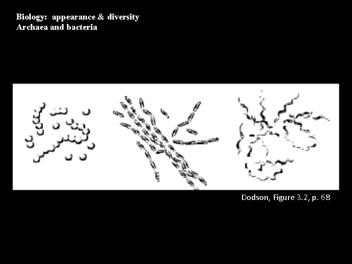 Biology: appearance & diversity Archaea and bacteria Dodson, Figure 3. 2, p. 68 