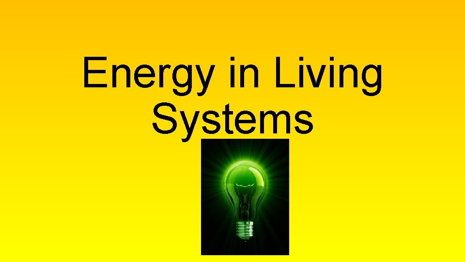 Energy in Living Systems 
