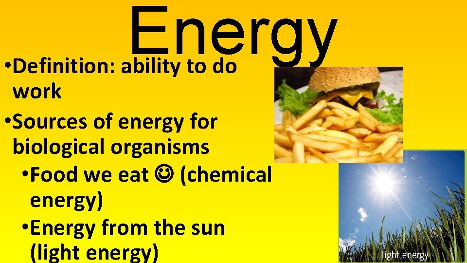 Energy • Definition: ability to do work • Sources of energy for biological organisms