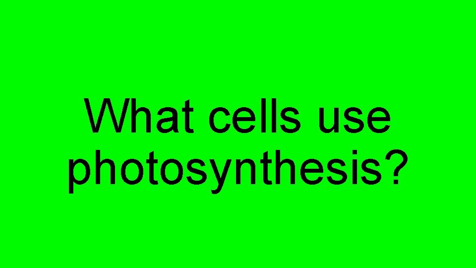 What cells use photosynthesis? 