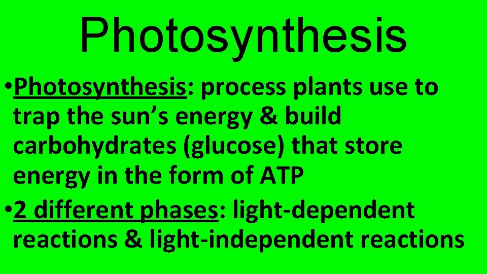 Photosynthesis • Photosynthesis: process plants use to trap the sun’s energy & build carbohydrates