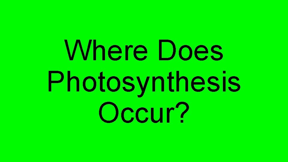 Where Does Photosynthesis Occur? 