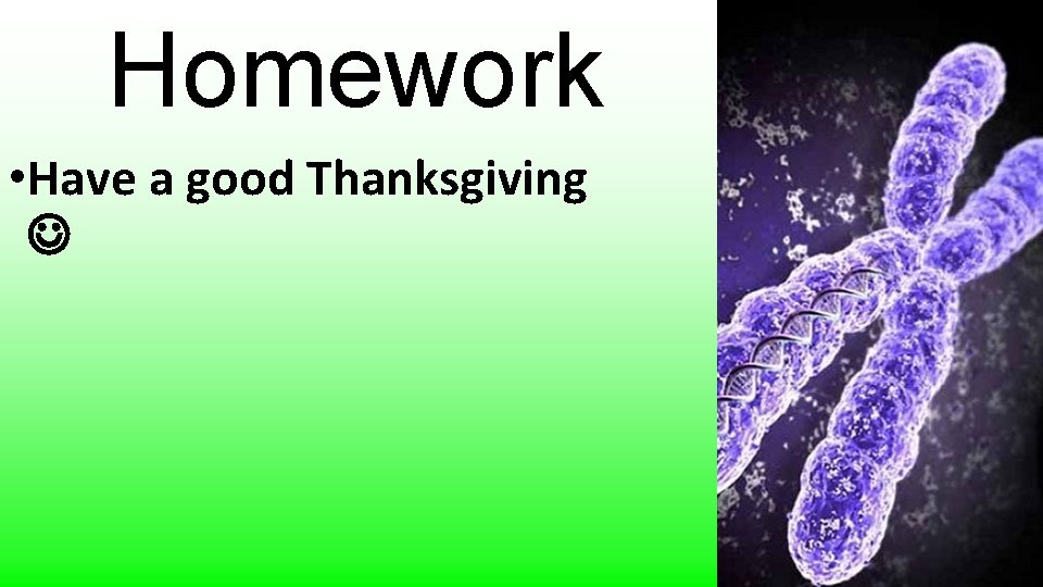 Homework • Have a good Thanksgiving 