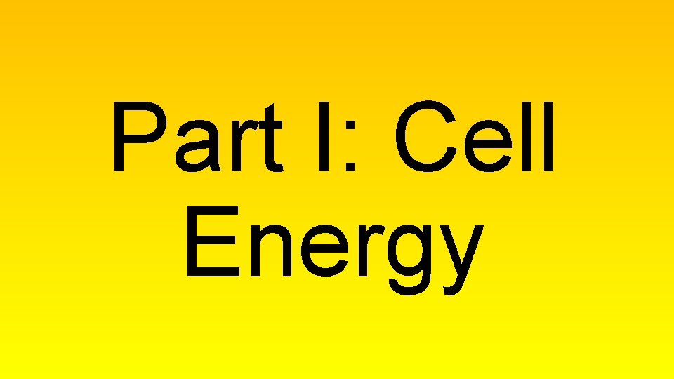 Part I: Cell Energy 