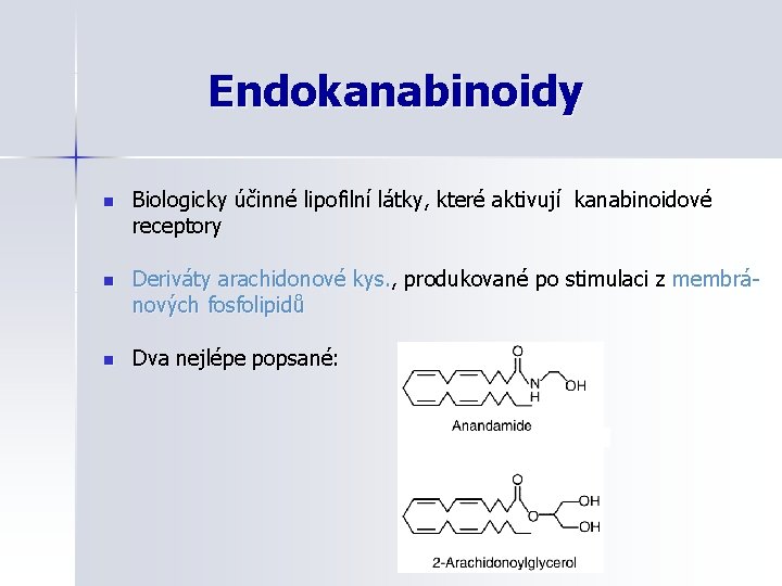 Endokanabinoidy n Biologicky účinné lipofilní látky, které aktivují kanabinoidové receptory n Deriváty arachidonové kys.