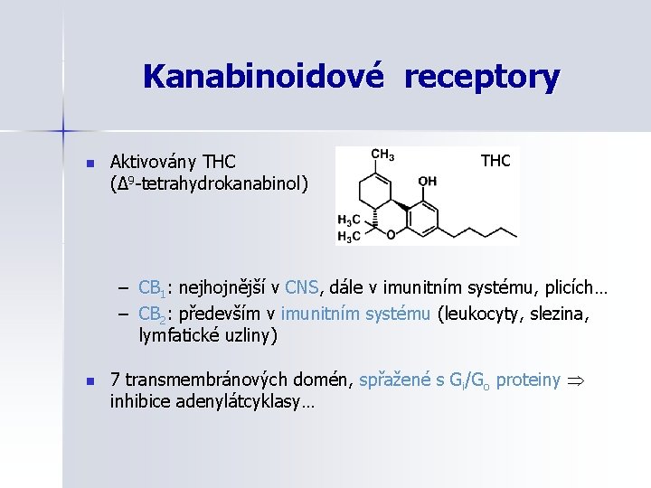 Kanabinoidové receptory n Aktivovány THC (Δ 9 -tetrahydrokanabinol) THC – CB 1: nejhojnější v