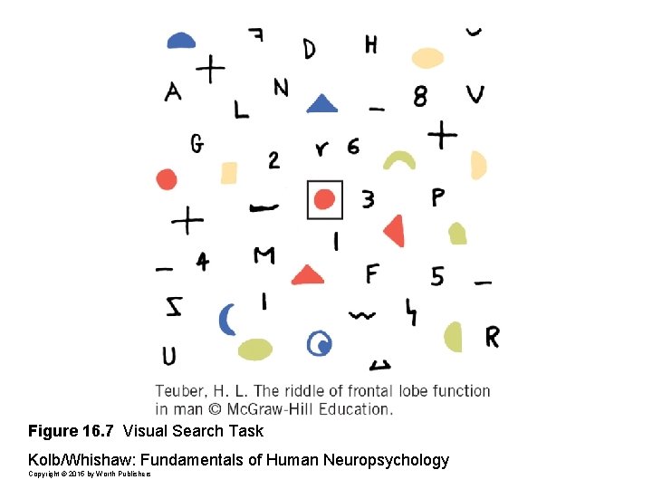 Figure 16. 7 Visual Search Task Kolb/Whishaw: Fundamentals of Human Neuropsychology Copyright © 2015
