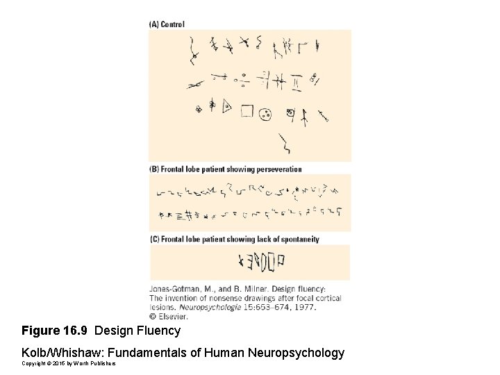 Figure 16. 9 Design Fluency Kolb/Whishaw: Fundamentals of Human Neuropsychology Copyright © 2015 by