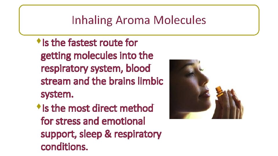 Inhaling Aroma Molecules s. Is the fastest route for getting molecules into the respiratory