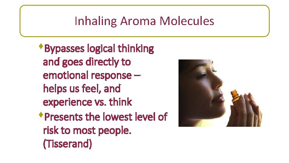 Inhaling Aroma Molecules s. Bypasses logical thinking and goes directly to emotional response –