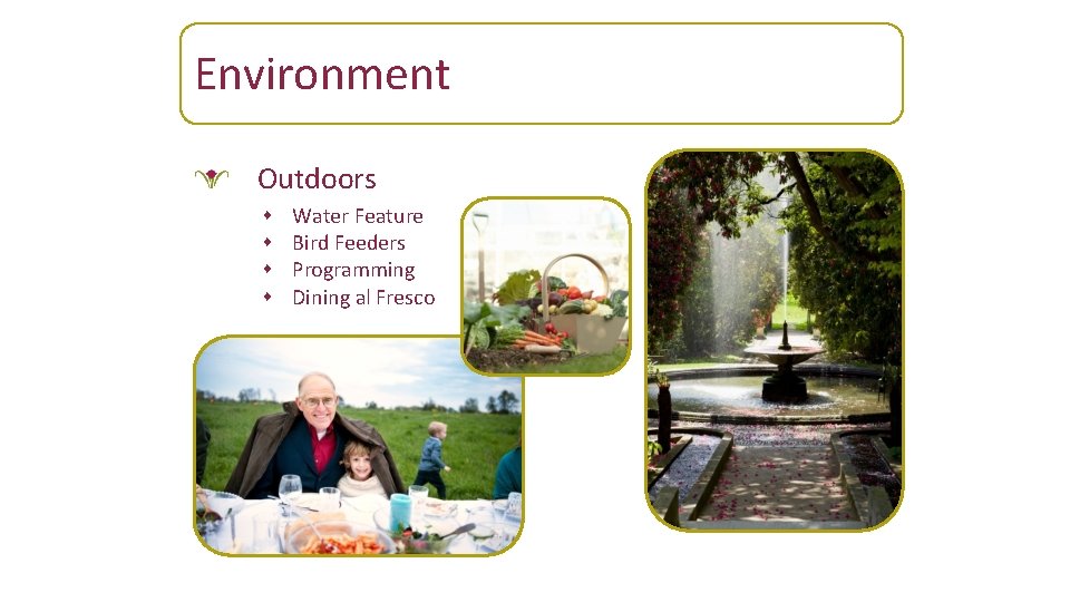 Environment Outdoors s s Water Feature Bird Feeders Programming Dining al Fresco 