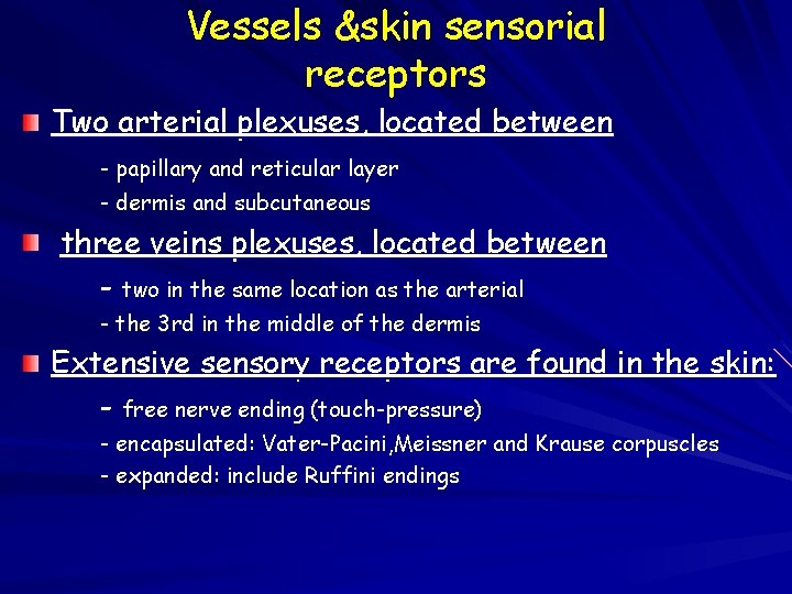 Vessels &skin sensorial receptors Two arterial plexuses, located between - papillary and reticular layer