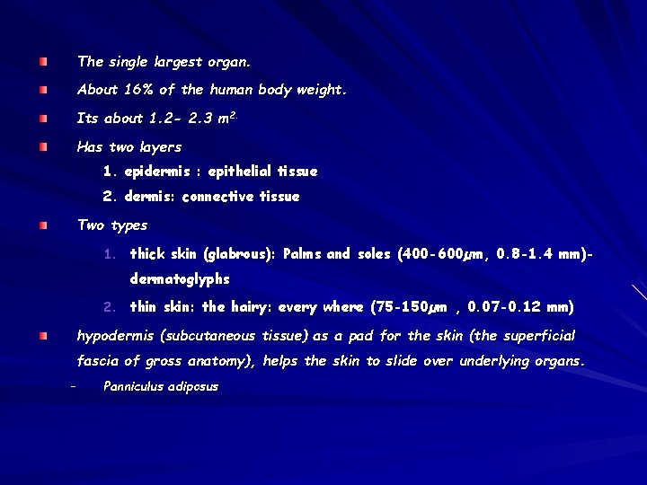 The single largest organ. About 16% of the human body weight. Its about 1.