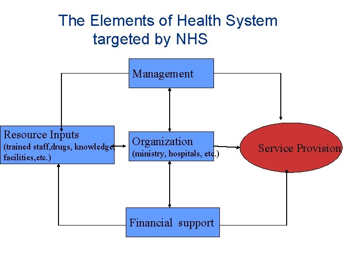 The Elements of Health System targeted by NHS Management Resource Inputs (trained staff, drugs,