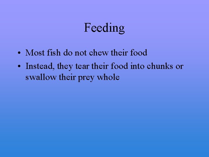 Feeding • Most fish do not chew their food • Instead, they tear their