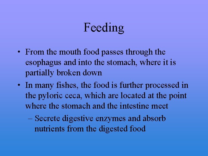 Feeding • From the mouth food passes through the esophagus and into the stomach,