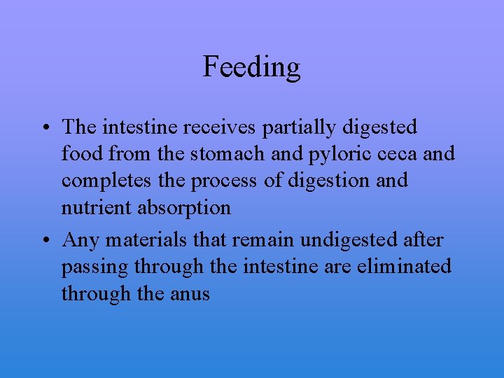Feeding • The intestine receives partially digested food from the stomach and pyloric ceca