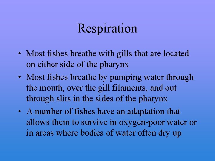 Respiration • Most fishes breathe with gills that are located on either side of