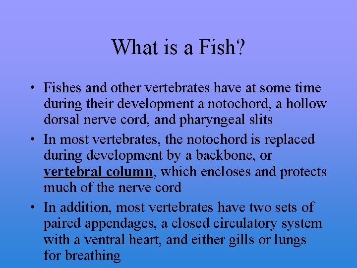 What is a Fish? • Fishes and other vertebrates have at some time during