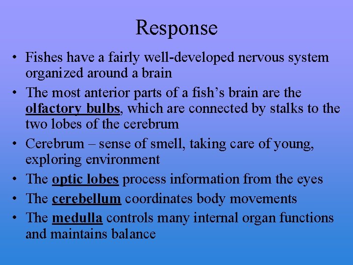 Response • Fishes have a fairly well-developed nervous system organized around a brain •