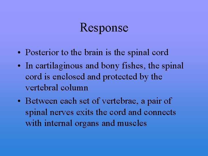 Response • Posterior to the brain is the spinal cord • In cartilaginous and