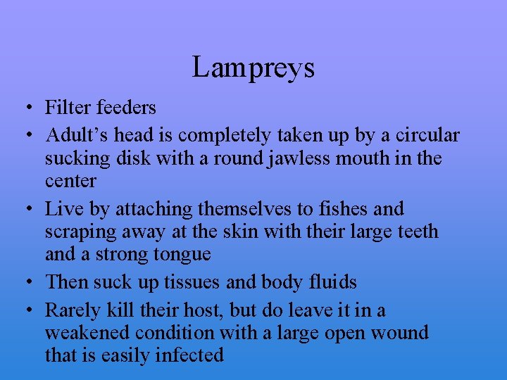 Lampreys • Filter feeders • Adult’s head is completely taken up by a circular