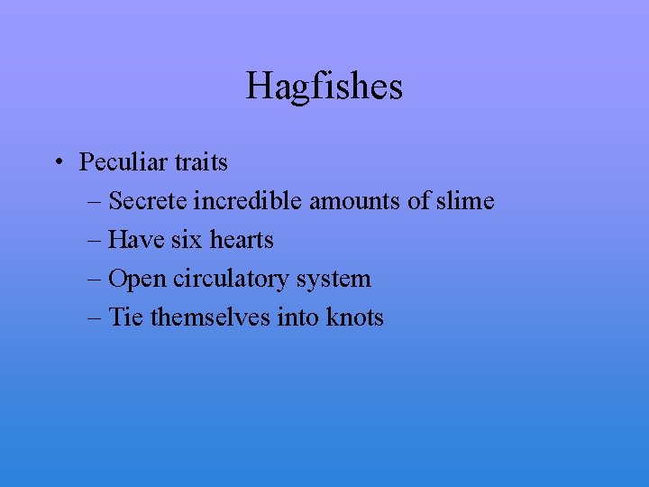 Hagfishes • Peculiar traits – Secrete incredible amounts of slime – Have six hearts