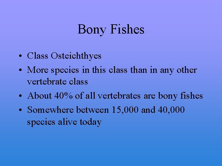 Bony Fishes • Class Osteichthyes • More species in this class than in any