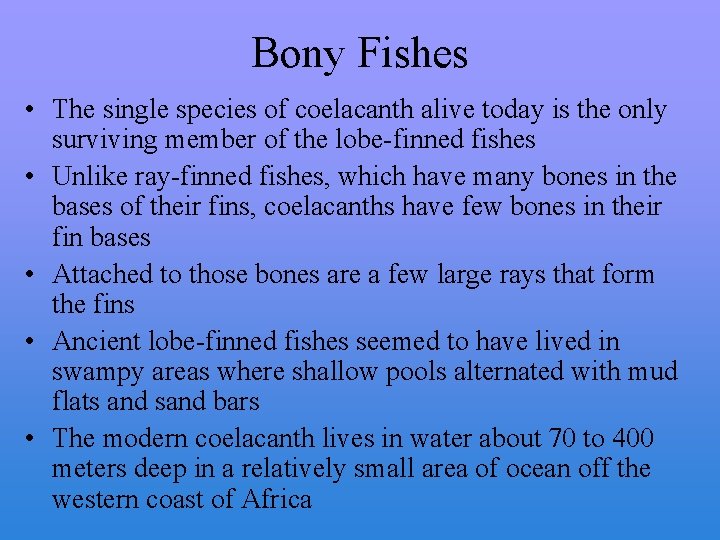 Bony Fishes • The single species of coelacanth alive today is the only surviving