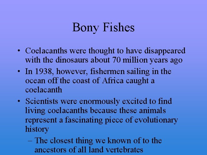 Bony Fishes • Coelacanths were thought to have disappeared with the dinosaurs about 70