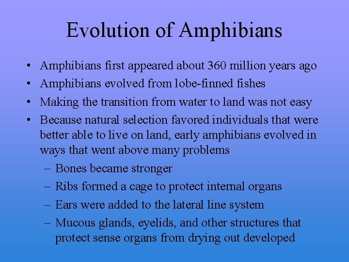 Evolution of Amphibians • • Amphibians first appeared about 360 million years ago Amphibians