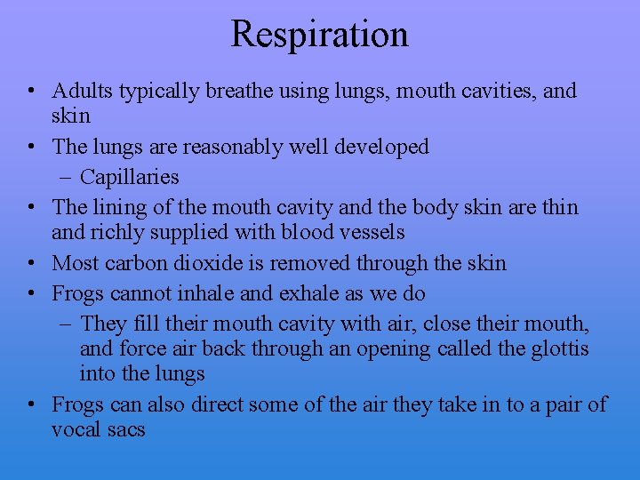 Respiration • Adults typically breathe using lungs, mouth cavities, and skin • The lungs