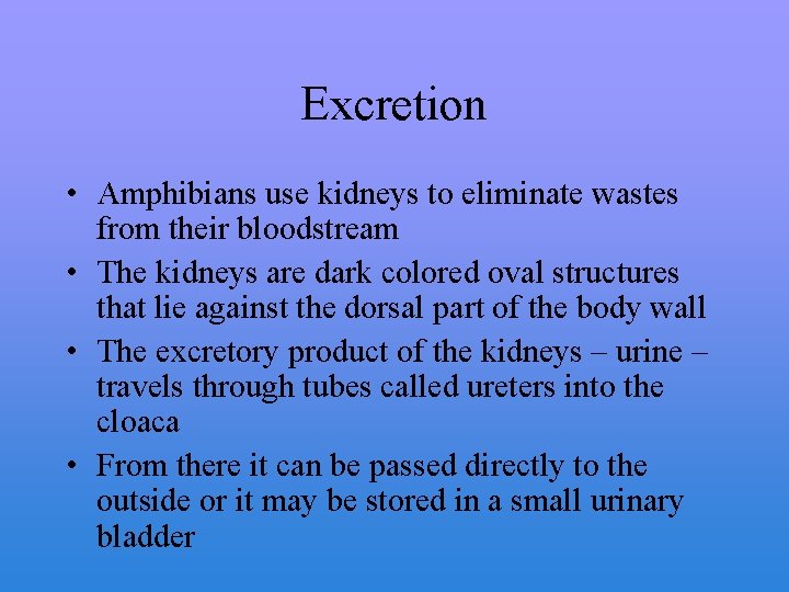 Excretion • Amphibians use kidneys to eliminate wastes from their bloodstream • The kidneys