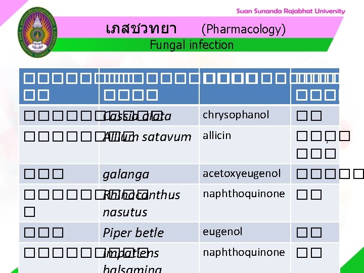 เภสชวทยา (Pharmacology) Fungal infection ����������� ����� �� ����� chrysophanol Cassia alata ����� �� Allium