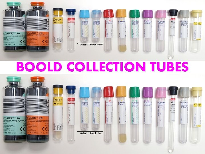 BOOLD COLLECTION TUBES 