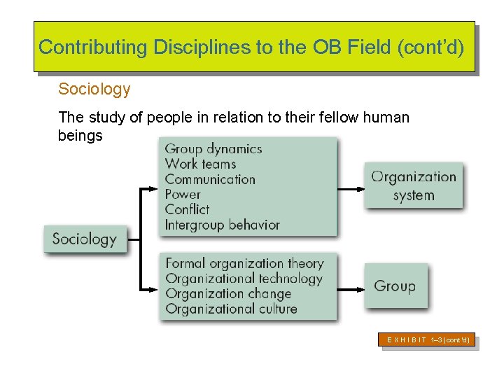 Contributing Disciplines to the OB Field (cont’d) Sociology The study of people in relation