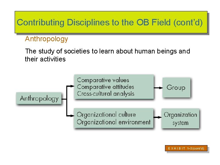 Contributing Disciplines to the OB Field (cont’d) Anthropology The study of societies to learn