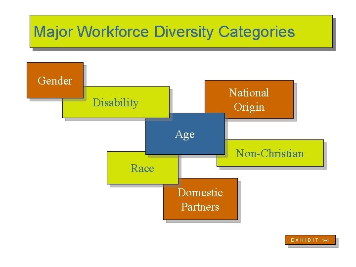 Major Workforce Diversity Categories Gender National Origin Disability Age Non-Christian Race Domestic Partners E