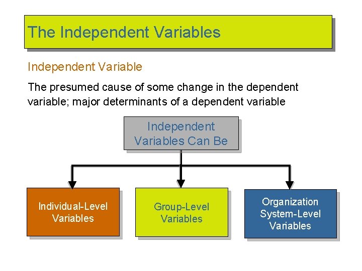The Independent Variables Independent Variable The presumed cause of some change in the dependent