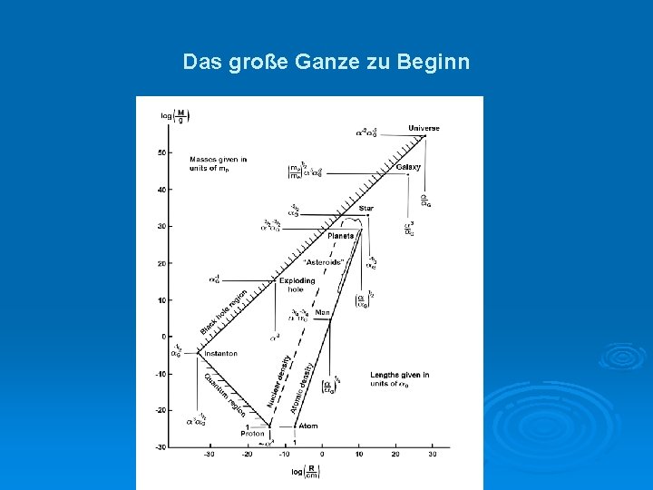 Das große Ganze zu Beginn 