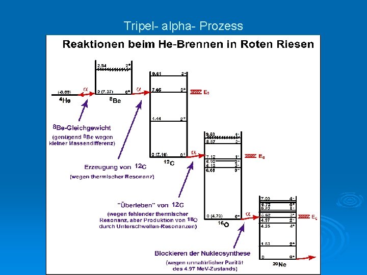 Tripel- alpha- Prozess 