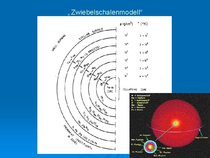 „ Zwiebelschalenmodell“ 