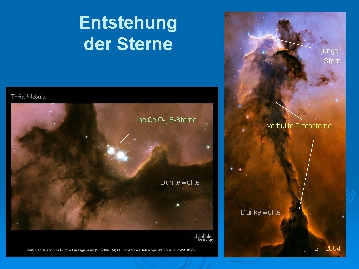 Entstehung der Sterne heiße O-, B-Sterne junger Stern verhüllte Protosterne Dunkelwolke HST 2004 