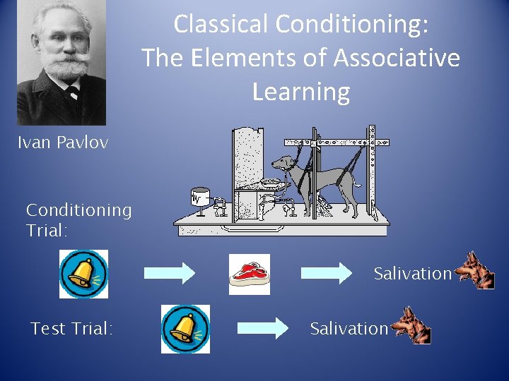 Classical Conditioning: The Elements of Associative Learning Ivan Pavlov Conditioning Trial: Salivation Test Trial: