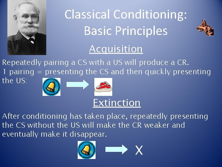 Classical Conditioning: Basic Principles Acquisition Repeatedly pairing a CS with a US will produce