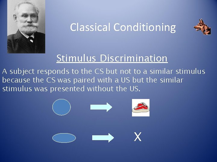 Classical Conditioning Stimulus Discrimination A subject responds to the CS but not to a