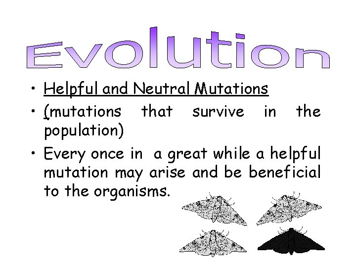  • Helpful and Neutral Mutations • (mutations that survive in the population) •
