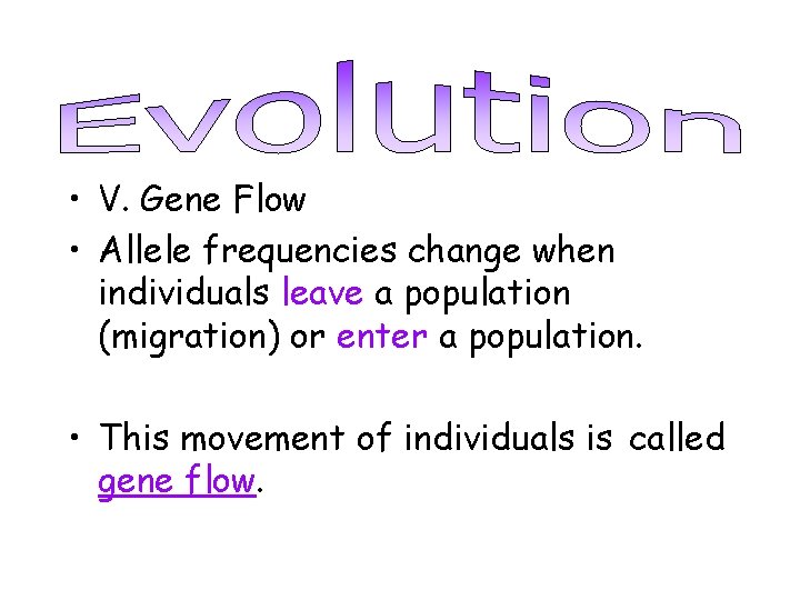  • V. Gene Flow • Allele frequencies change when individuals leave a population