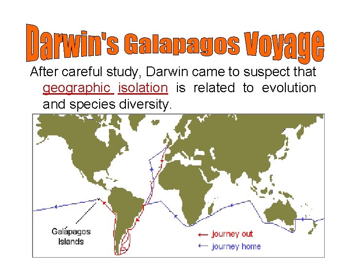 After careful study, Darwin came to suspect that geographic isolation is related to evolution